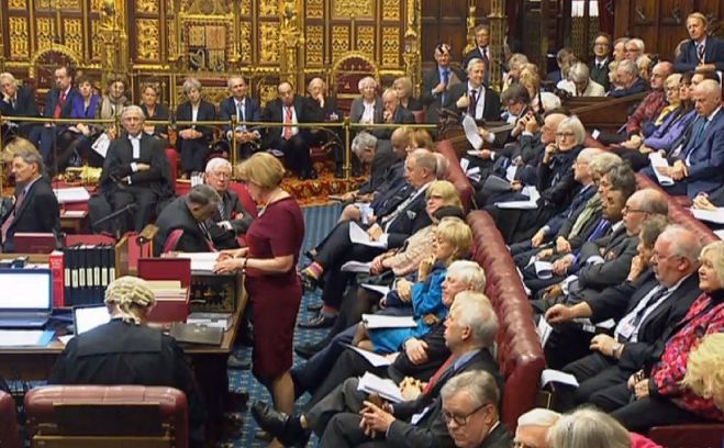 View from the Green Seats- Brexit Bill debate begins in House of&nbsp;Lords